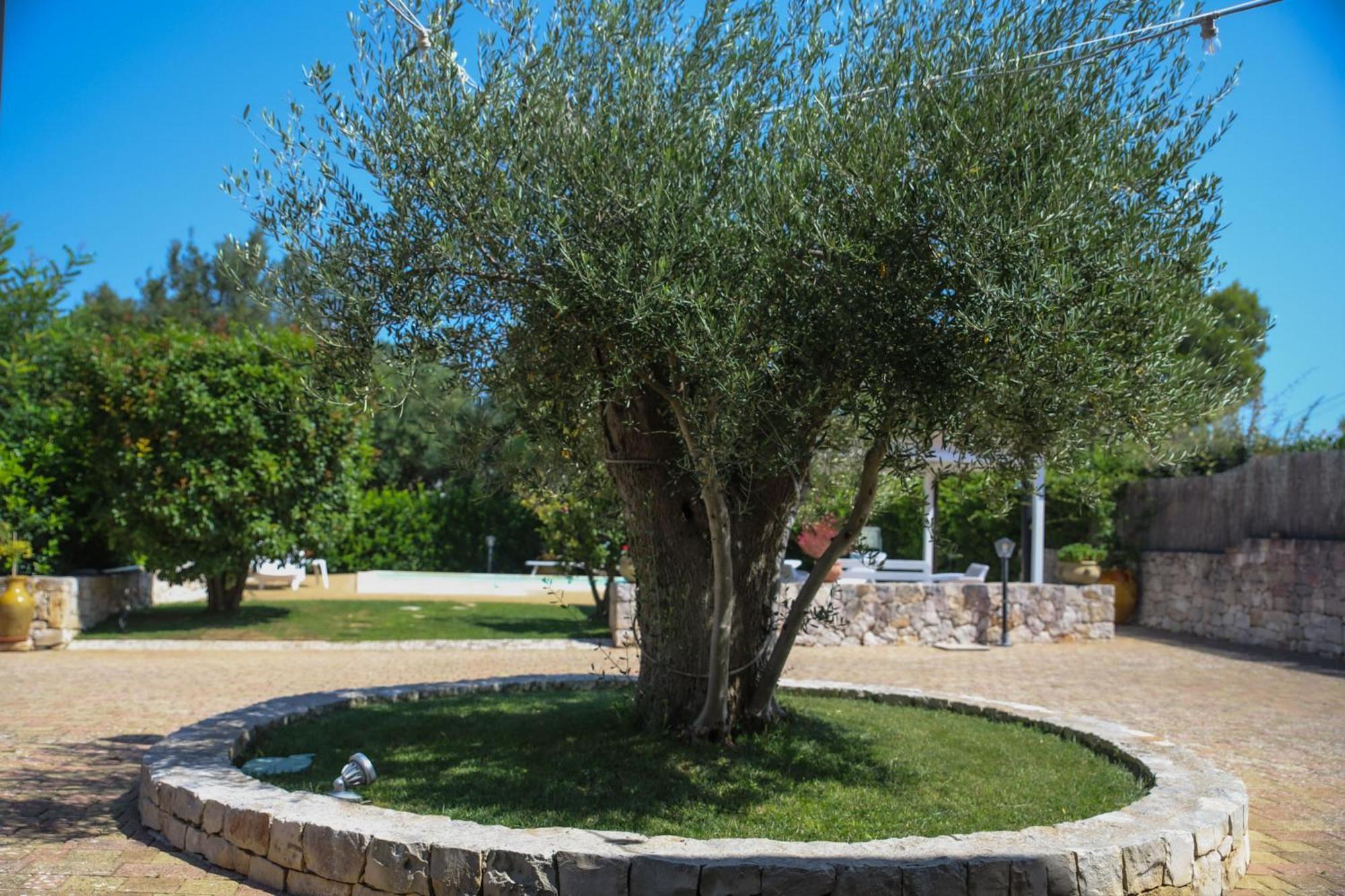 Villa Arisa With Pool Selva Di Fasano Εξωτερικό φωτογραφία