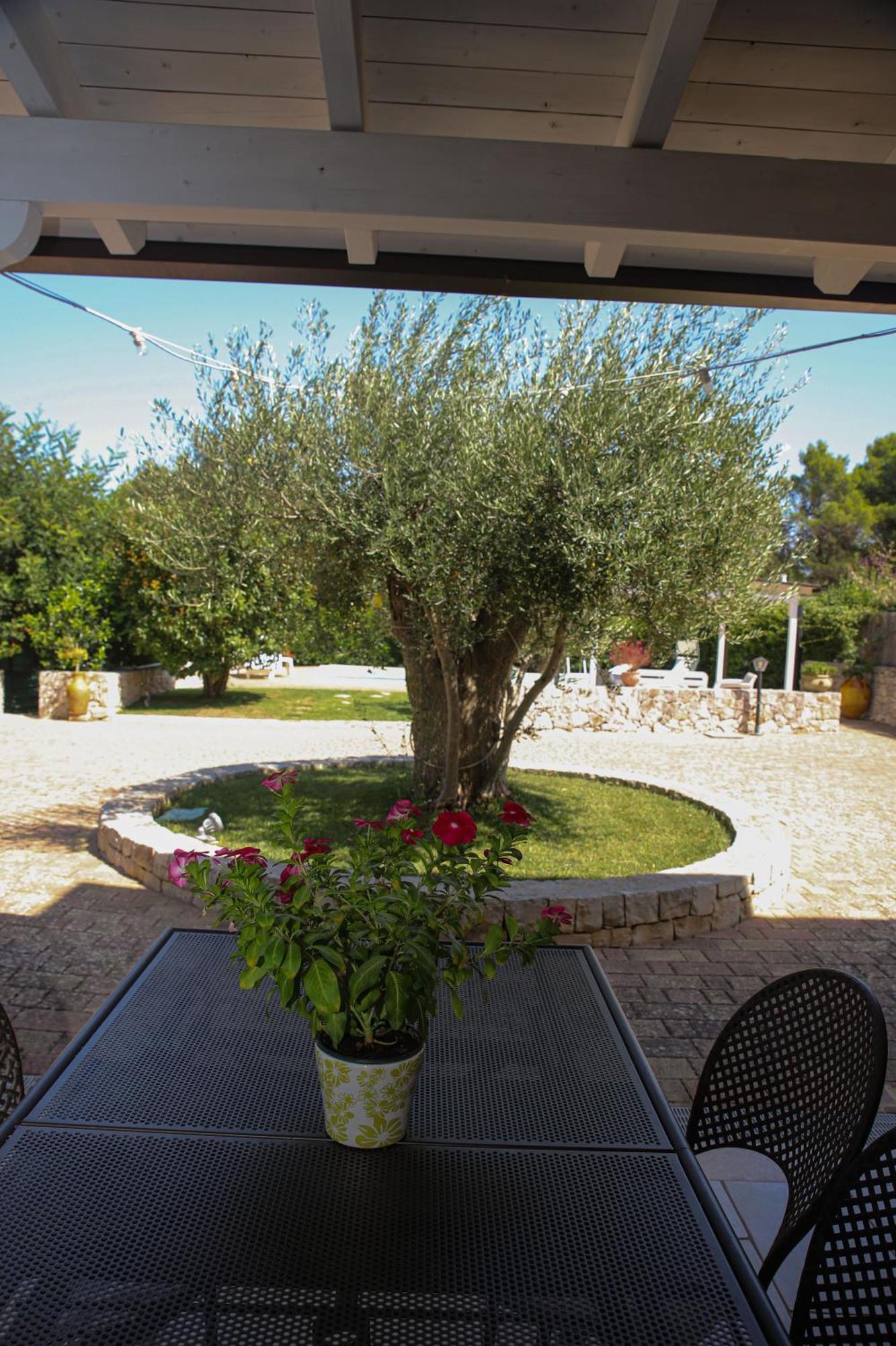 Villa Arisa With Pool Selva Di Fasano Εξωτερικό φωτογραφία